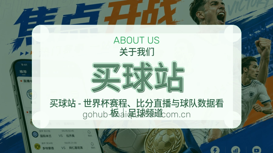 买球站关于我们与内容整理说明图片